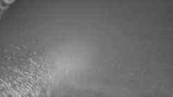 Nástup na běžecké tratě