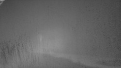 Nástup na běžecké tratě