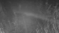 Nástup na běžecké tratě