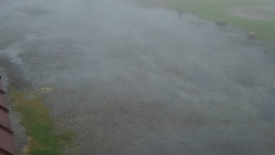 Nástup na běžecké tratě