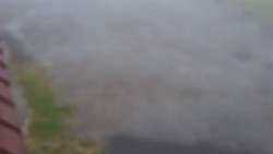 Nástup na běžecké tratě