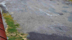 Nástup na běžecké tratě