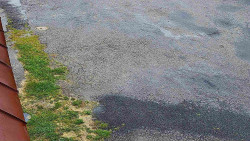 Nástup na běžecké tratě