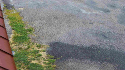 Nástup na běžecké tratě