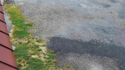 Nástup na běžecké tratě