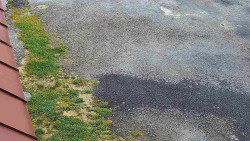 Nástup na běžecké tratě