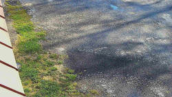 Nástup na běžecké tratě