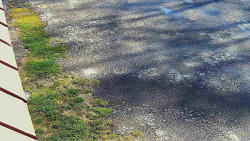 Nástup na běžecké tratě