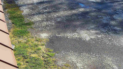 Nástup na běžecké tratě