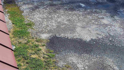 Nástup na běžecké tratě