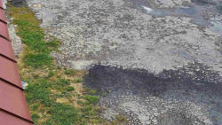 Nástup na běžecké tratě