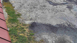 Nástup na běžecké tratě