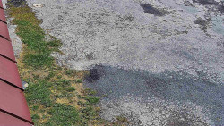 Nástup na běžecké tratě