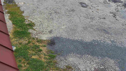 Nástup na běžecké tratě