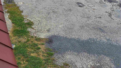 Nástup na běžecké tratě