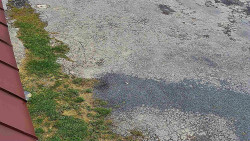 Nástup na běžecké tratě