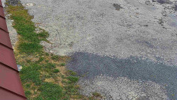 Nástup na běžecké tratě