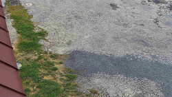 Nástup na běžecké tratě