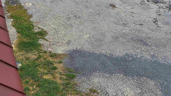 Nástup na běžecké tratě