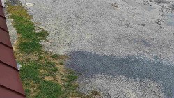 Nástup na běžecké tratě