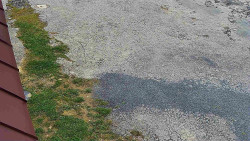 Nástup na běžecké tratě