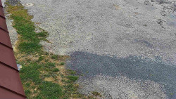 Nástup na běžecké tratě