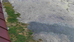 Nástup na běžecké tratě