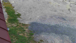 Nástup na běžecké tratě