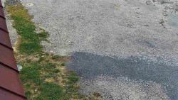 Nástup na běžecké tratě