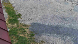 Nástup na běžecké tratě