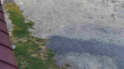 Nástup na běžecké tratě