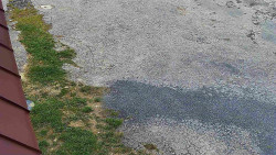 Nástup na běžecké tratě