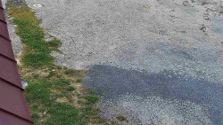 Nástup na běžecké tratě