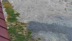 Nástup na běžecké tratě