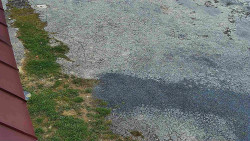 Nástup na běžecké tratě