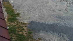 Nástup na běžecké tratě