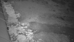 Nástup na běžecké tratě