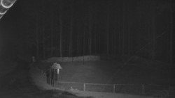 Nástup na běžecké tratě