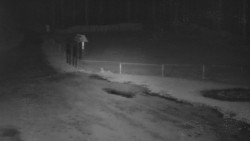 Nástup na běžecké tratě