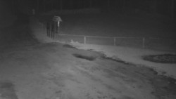 Nástup na běžecké tratě