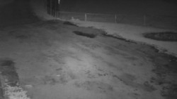 Nástup na běžecké tratě