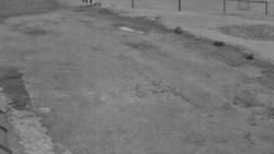 Nástup na běžecké tratě