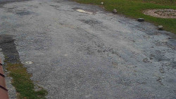 Nástup na běžecké tratě