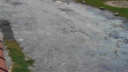 Nástup na běžecké tratě