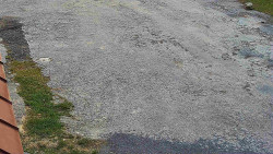 Nástup na běžecké tratě