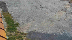 Nástup na běžecké tratě