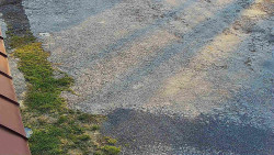 Nástup na běžecké tratě