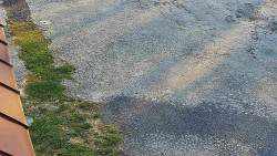 Nástup na běžecké tratě