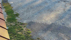 Nástup na běžecké tratě