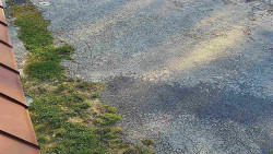 Nástup na běžecké tratě